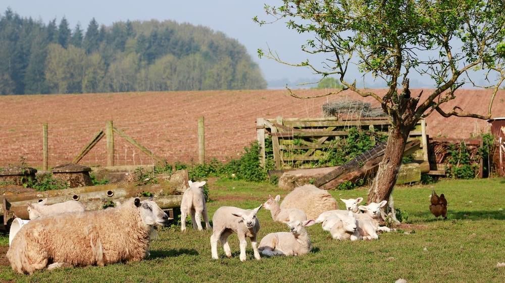 Huntlands Farm Bed & Breakfast Бромярд Екстериор снимка